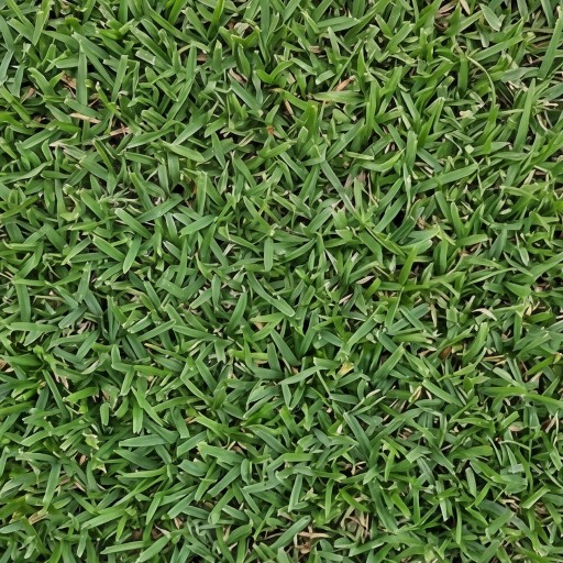Grass texture - free download