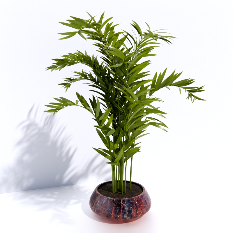 3D Plant preview