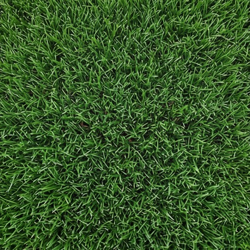 Grass texture - free download
