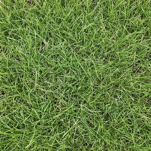 Grass
