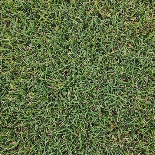 Grass