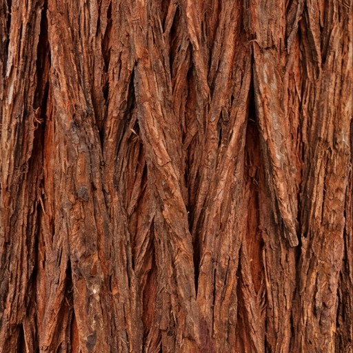 Bark