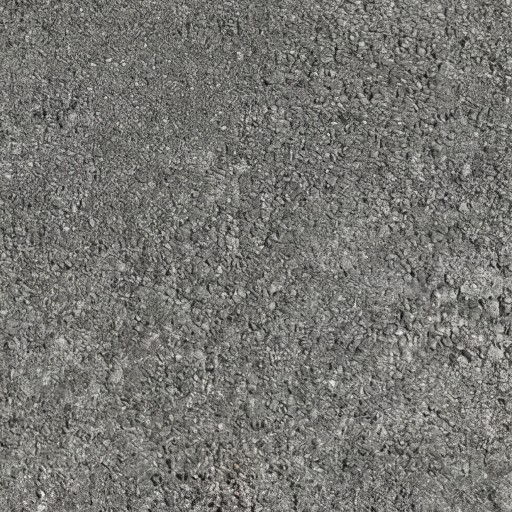 Stone
