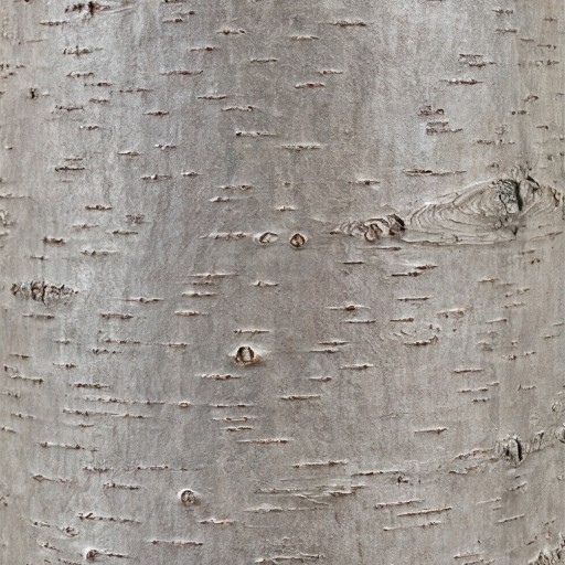 Bark