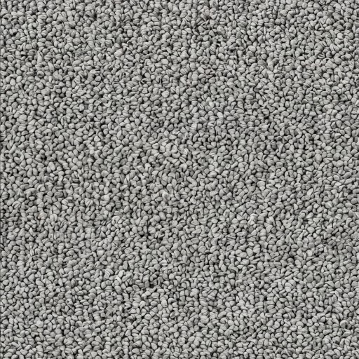 Carpets