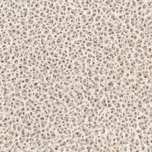 Organic texture - free download