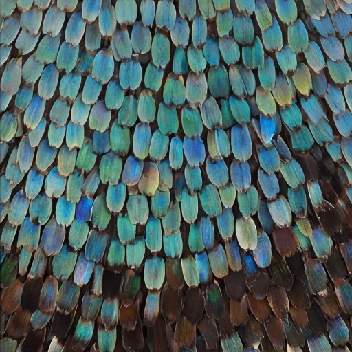Decor texture - free download