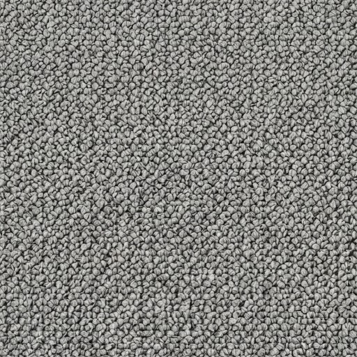 Carpets