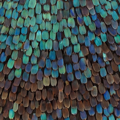 Decor texture - free download