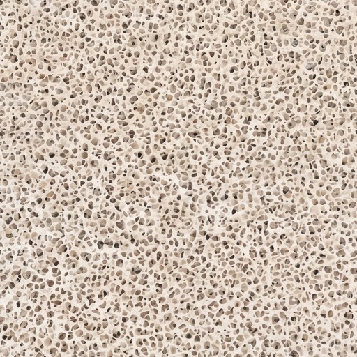 Organic texture - free download