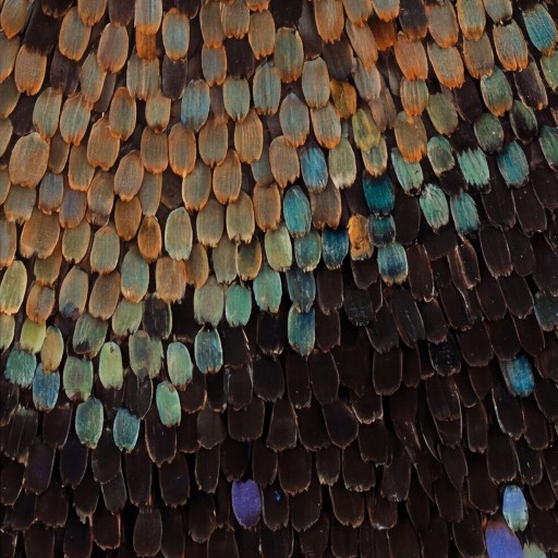 Decor texture - free download