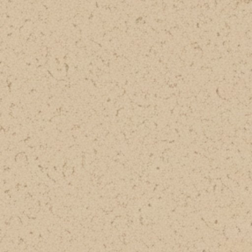 Stucco