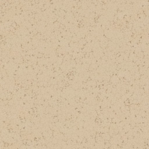 Stucco